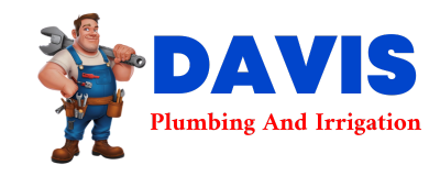 Trusted plumber in CASTALIAN SPRINGS